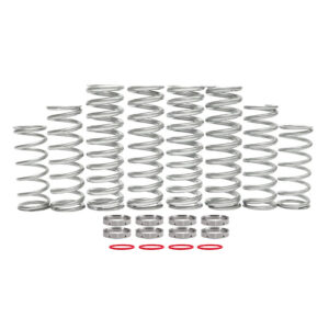 Polaris RZR Turbo S Dual Rate Spring Kits