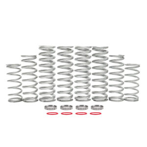 Polaris RZR XP (2024) Dual Rate Spring Kit