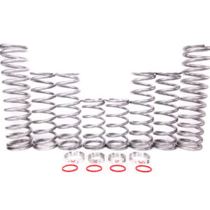 Polaris RZR RS1 Dual Rate Spring Kit